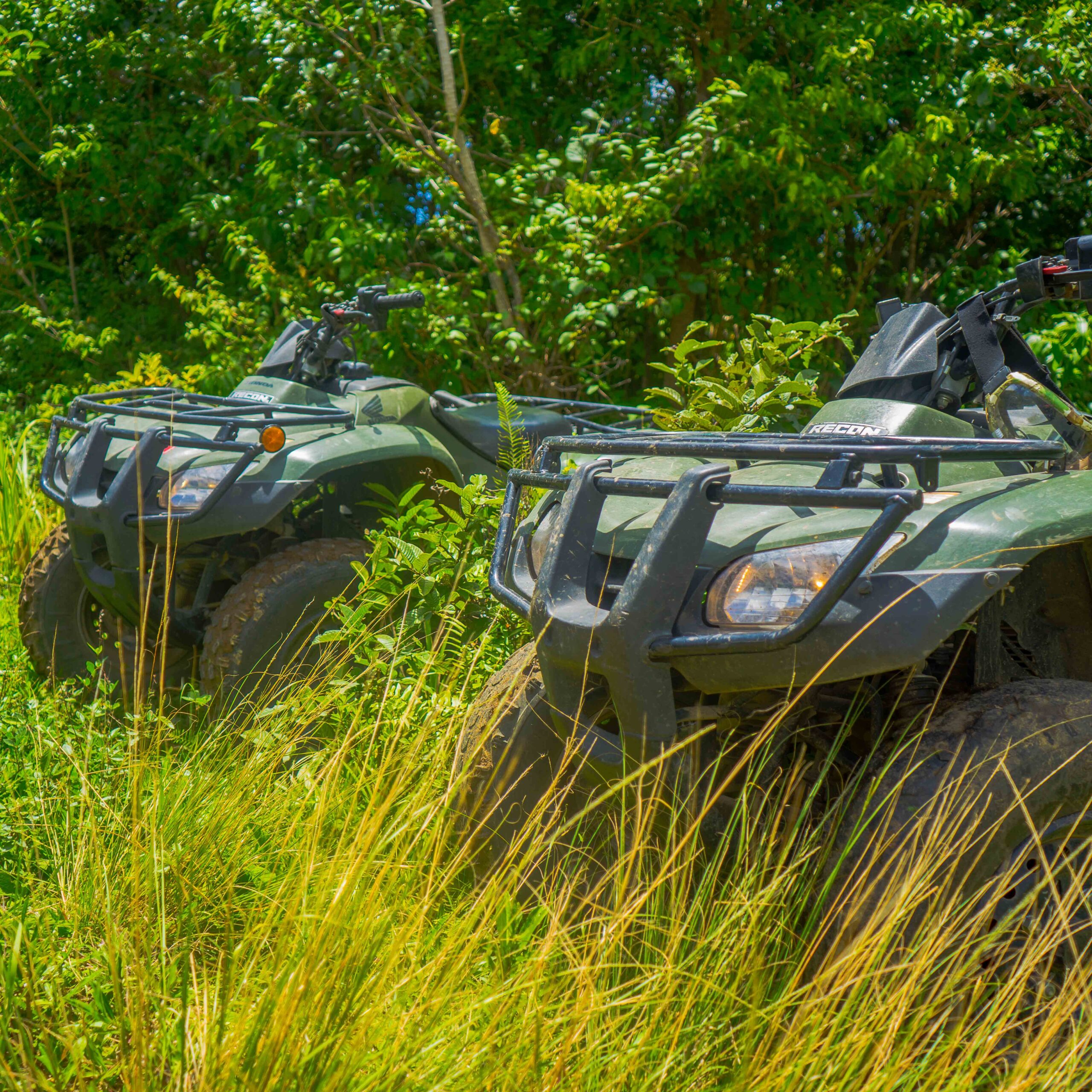 ATV, St. Kitts 869ATVenture